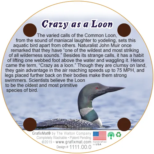Coaster - Crazy as a Loon