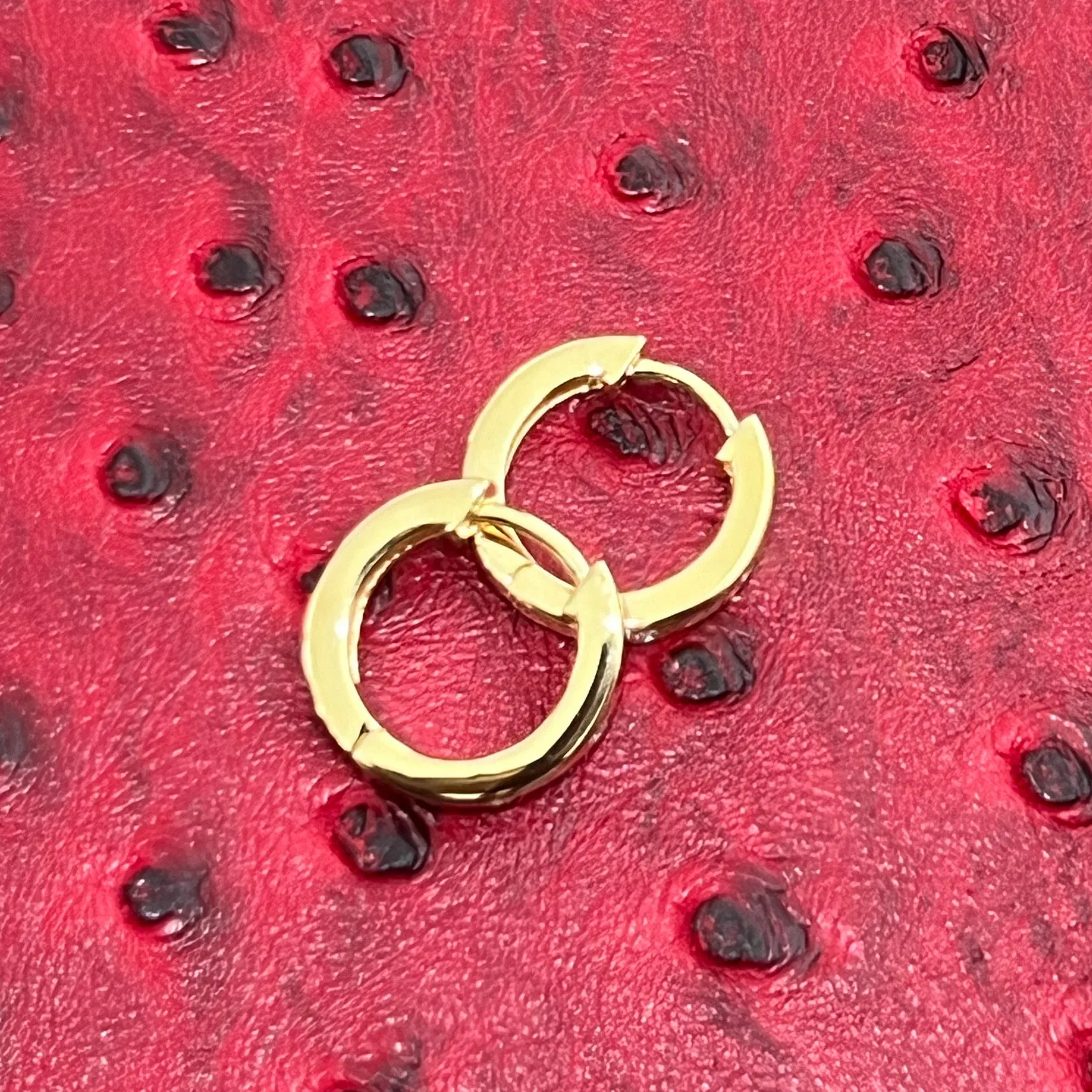 Designer Flush Set Moissanite Hoop Earrings