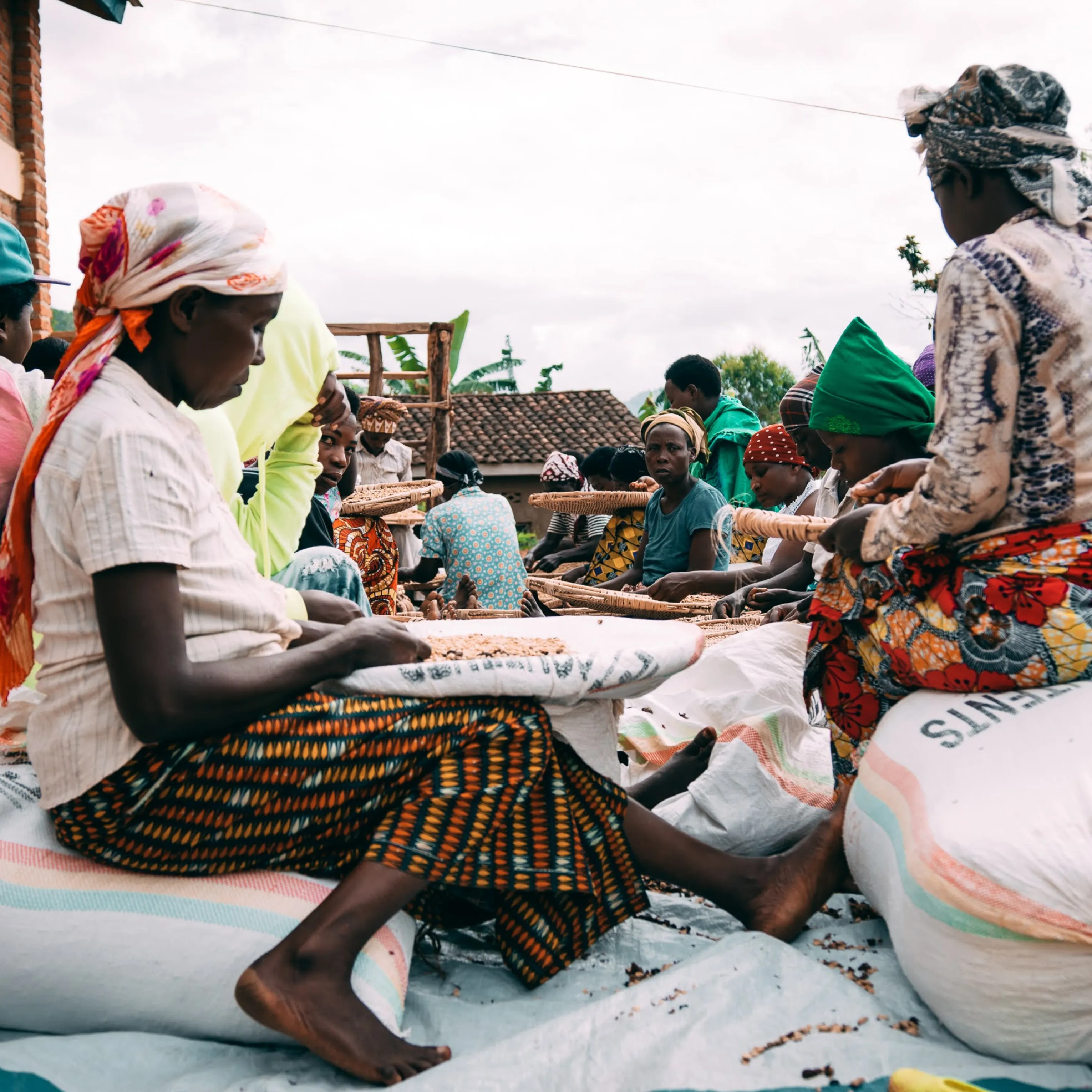 Rwanda - Gito Natural [Espresso]