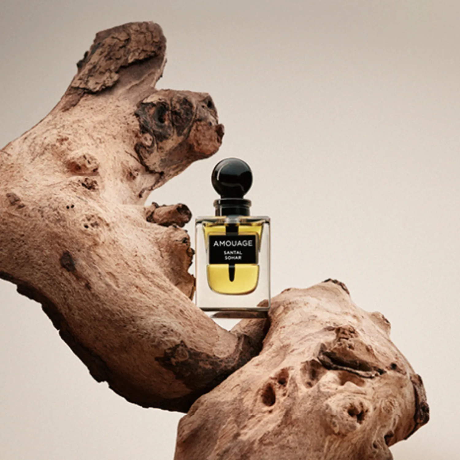 Santal Sohar